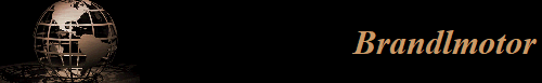 Brandlmotor